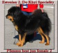 /album/p%c3%b5mmu%20galerii/a2007pommu-dokhyi07-text-jpg/