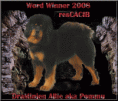 /album/p%c3%b5mmu%20galerii/ww08pommurescacibtext-gif/